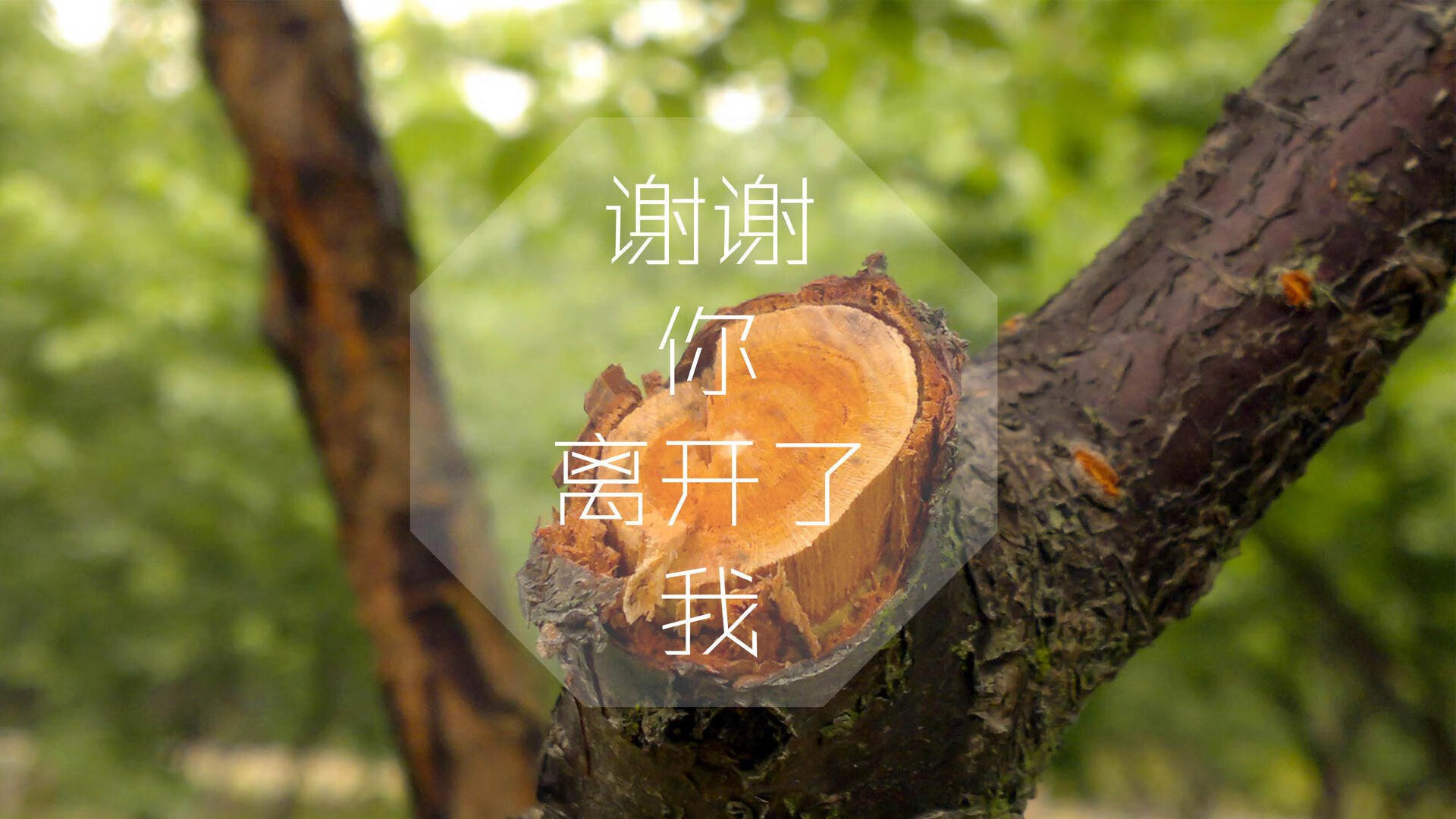 开云kaiyun-NBA球队全场压迫战术效果研究与实施条件，nba压球犯规