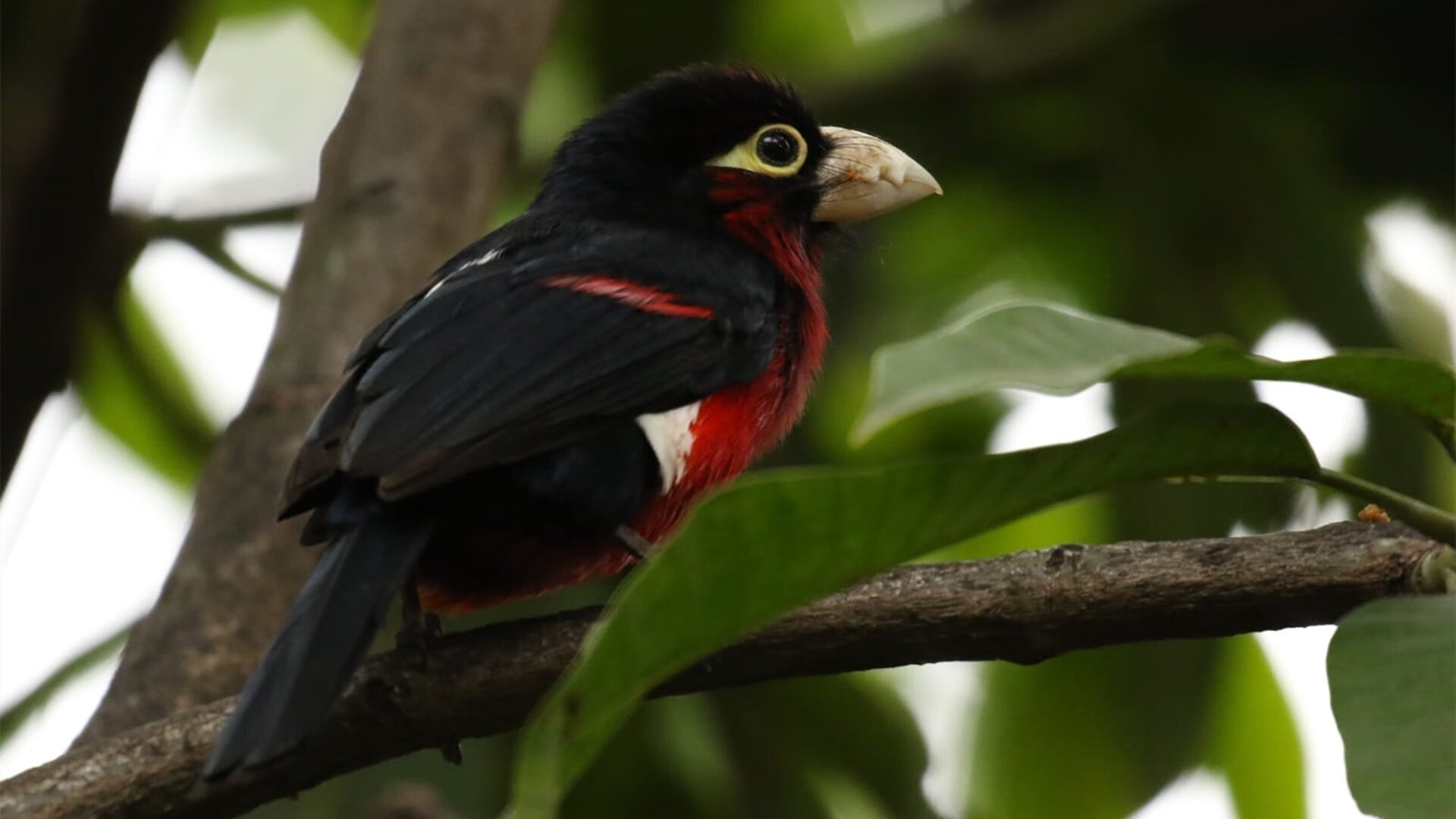 开云体育-体育教学过程中的性别平等实践调研，体育领域的男女平等问题法语